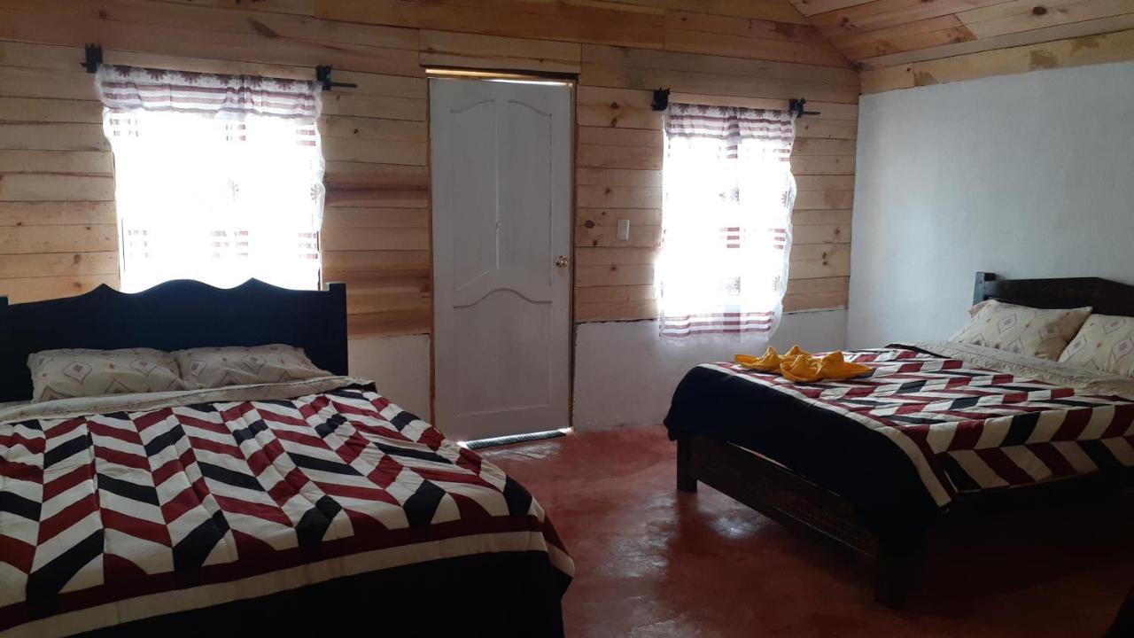 Cabanas Liquidambar La Trinitaria Eksteriør bilde
